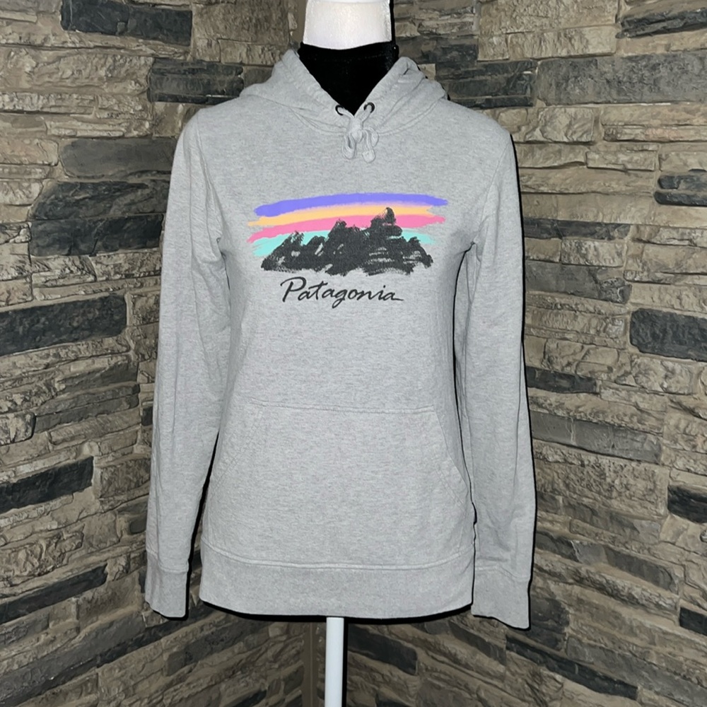 Patagonia Free Hand Fitz Roy Ahnya Hoodie